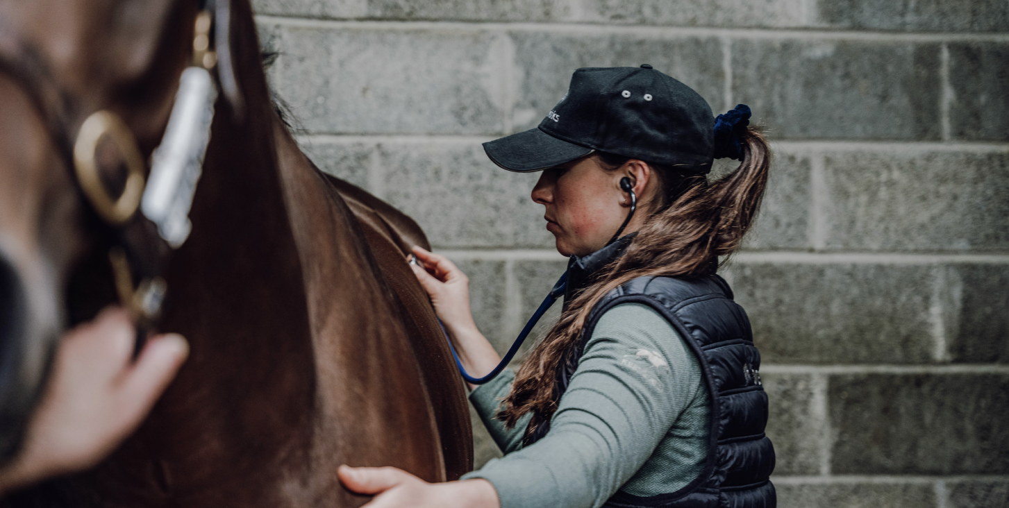 A tool to help Colic Progression? Early Intervention in Colic Cases? Equimetrics have developed a Solution. 