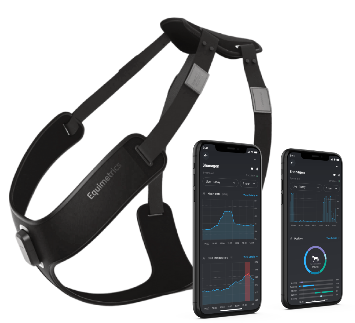 harness-and-device