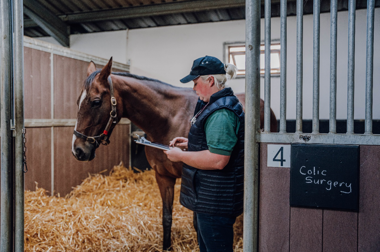 Monitor horse vitals and cardiac health in realtime Smart Equine