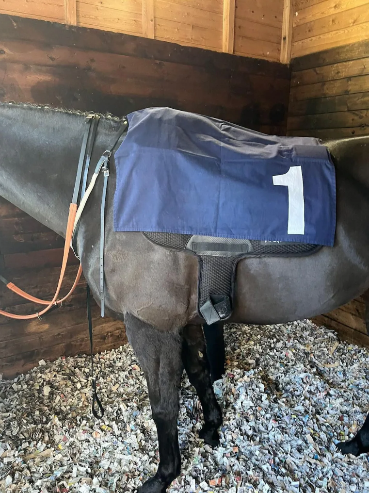 Equimetrics Role in BHA Heart Monitor Study Highlighted